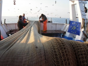 TARTALIFE: hauling of the fishing net