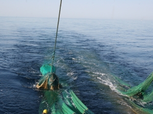 Twin trawl net hauling