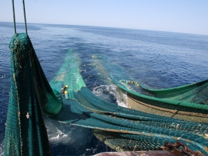 Twin trawl net hauling - TED detail