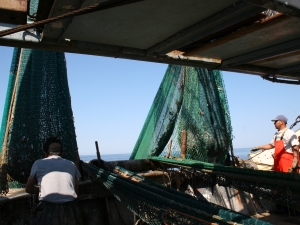 Twin trawl net hauling 