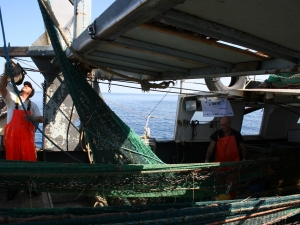 Twin trawl net hauling 