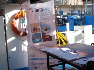 TartaLife aboard Dallaporta - Sharper