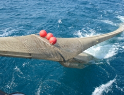 Turtle Excluder Devices: experimental sea trials in North Adriatic